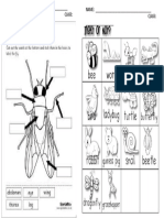 INSECT WORKSHEETS