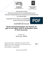 Etude hispatologique dromadaire_DRIOT.pdf