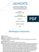 aguacatepaolaynatalia-121031125434-phpapp.pdf