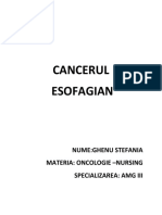 Cancerul Esofagian