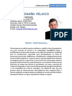 Michael Omaña Velasco: Perfil Profesional