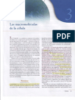 Capitulo III Las Macromoléculas de La Célula PDF