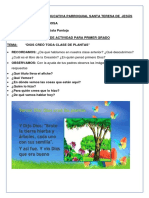 1 Er Grado Creo Toda Clase de Plantas PDF