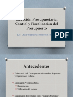 10 Ejecución Presupuestaria, Control y Fiscalización Del Presupuesto