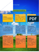 Mapa Conceptual