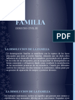 FAMILIA III Diapositivas Octava