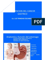 C.A. Gastrico LL PDF