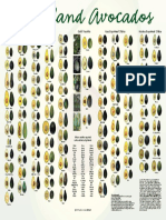 Avocado PDF