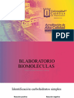 Biomoleculas