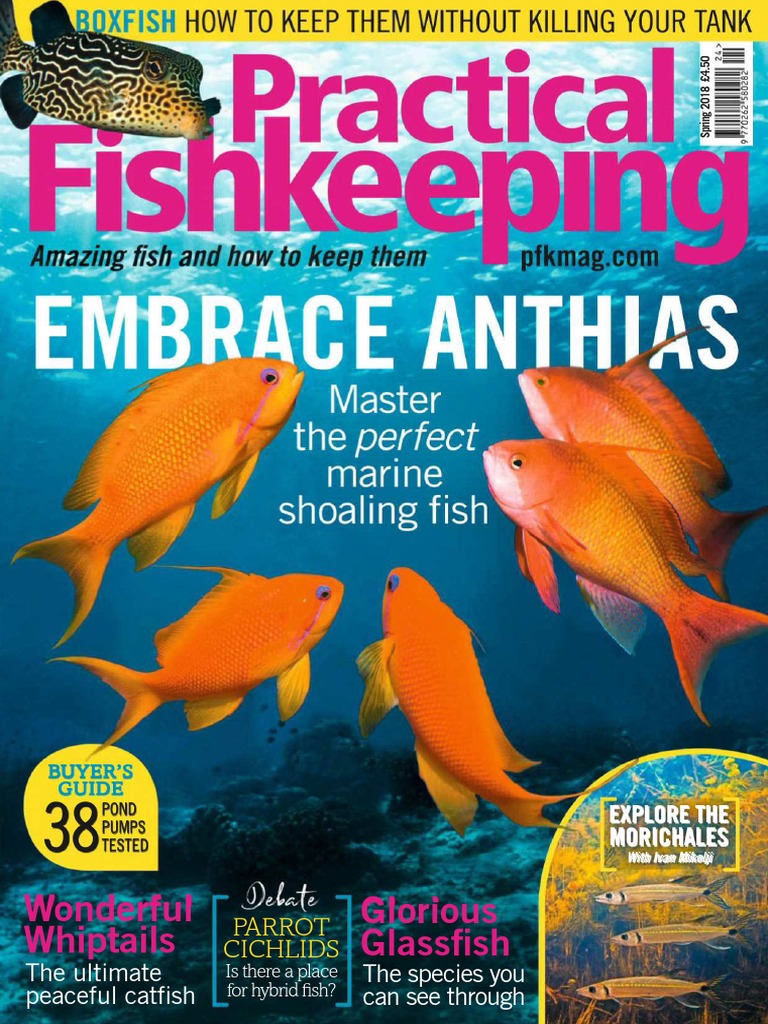 Practical Fishkeeping 2018-Весна PDF, PDF, Fishkeeping