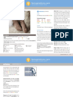 Calcetines PDF