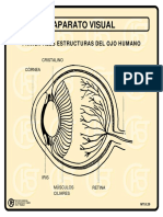 Aparato Visual PDF
