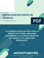 Inspeccion de Puesto de Trabajo