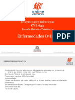 Enfermedades Ovinos y Caprinos.pdf