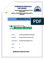 PRACTICA 01.pdf