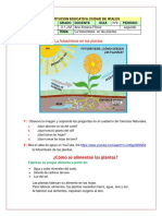 Gui N°8. Ciencias Naturales. La Fotosintesis PDF