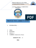 Proyectos Ambientales: Universidad Peruana Los Andes
