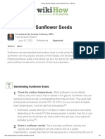 How to Plant Sunflower Seeds (with Pictures)