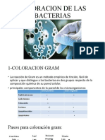 Practica 6 Microbiologia