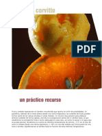 Recetas-Angelo-Corvitto.pdf