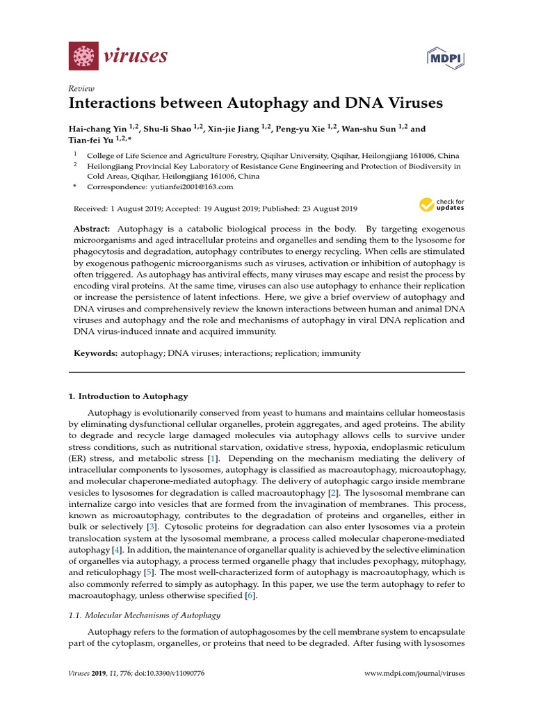 Viruses: Interactions Between Autophagy and DNA Viruses | PDF ...