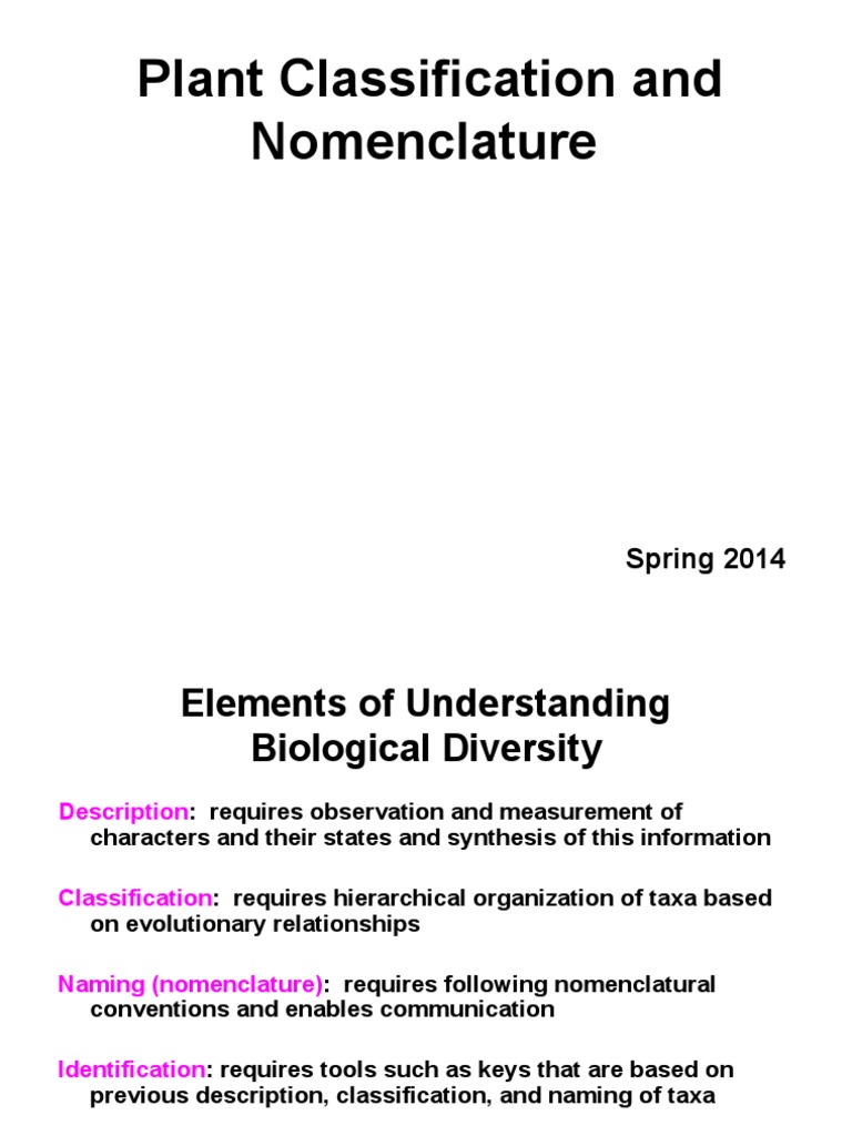 Plant Classification and Nomenclature Guide | PDF | Phylogenetic Tree ...