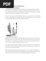 3-Equisetum