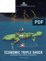 Economic Triple Shock: Assessment and Remedial Measures