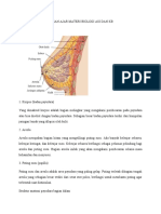 Bahan Ajar Materi Biologi Asi Dan KB