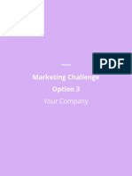 Marketing Challenge Option 3: Your Company