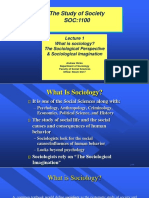 The Study of Society SOC:1100: What Is Sociology? The Sociological Perspective & Sociological Imagination