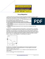 Forca-Magnetica-.pdf