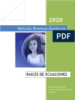 2020 27 01 Newton PDF