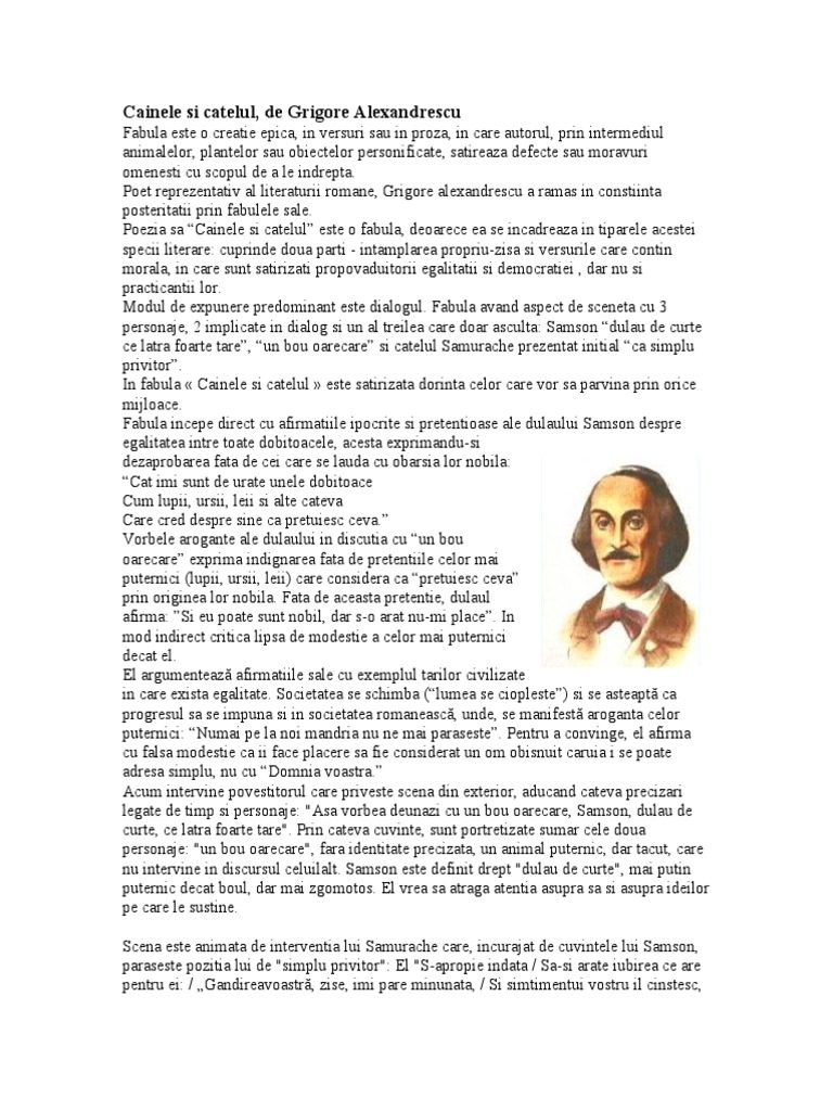 Cainele Si Catelul