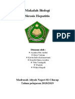 Makalah Sirosis Hepatitis