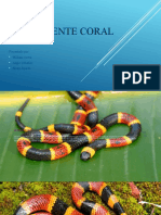 La Serpiente Coral