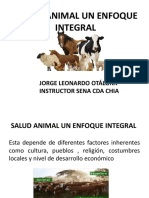 Salud Animal Un Enfoque Integral
