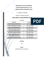 Clima Laboral PDF