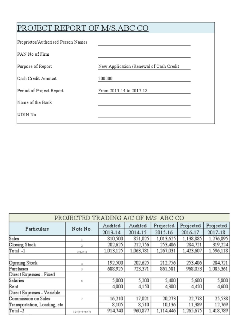 Project Report for Loan - ABC Co. | PDF | Investing | Depreciation