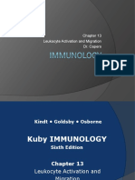 Immunology - Chapter 13 Leucocyte