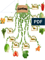caroteno.pdf