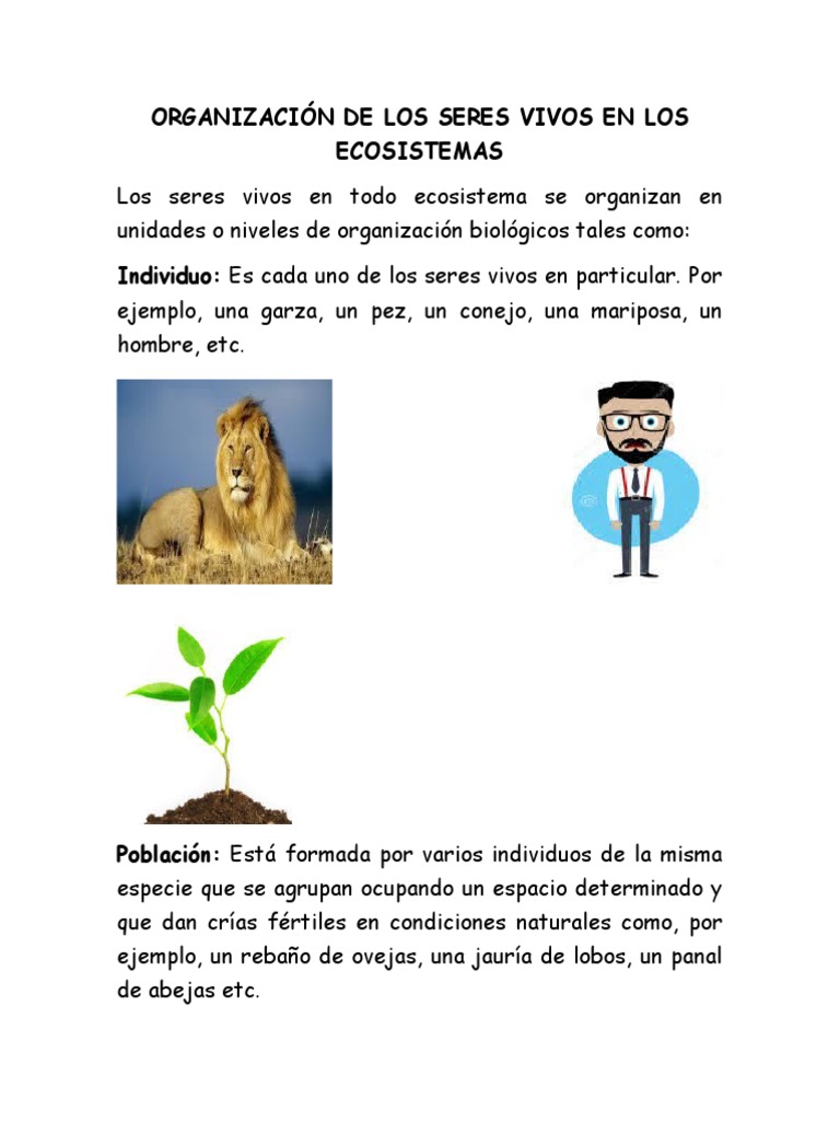 Organización de Los Seres Vivos en Los Ecosistemas | PDF