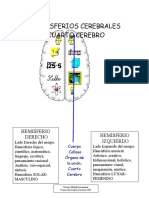 HEMISFERIOS CEREBRALES II