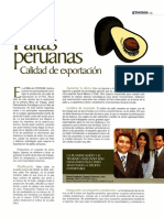 Informe de La Palta en El Peru