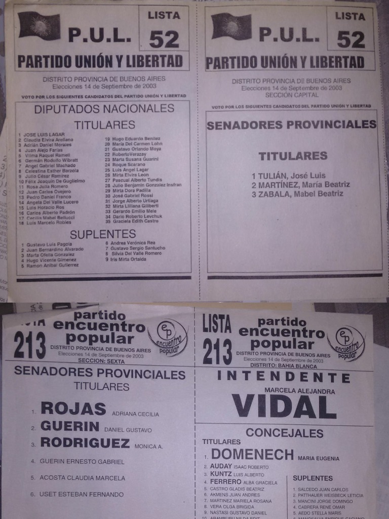 Elecciones 2003 Parte 1 PDF Violencia