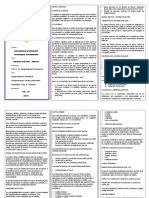 Triptico PDF