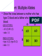 Problem: Multiple Alleles: - Show The Cross Between A Mother Who Has Type O Blood and A Father Who Has Type AB Blood