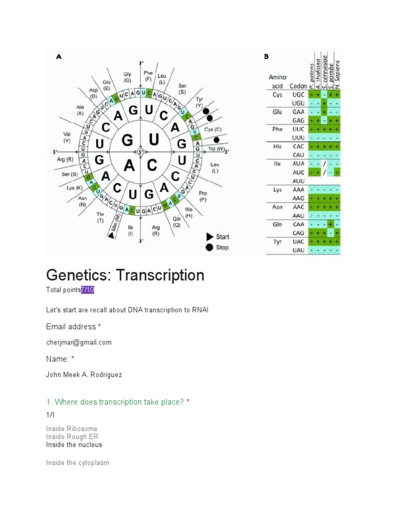 Genetics: Transcription: Email Address | PDF | Science & Mathematics