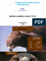 Diapositiva El Aguila