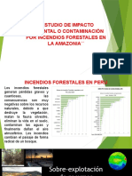 Estudio de Impacto Ambiental o Contaminación Por Incendios Forestales en La Amazonia